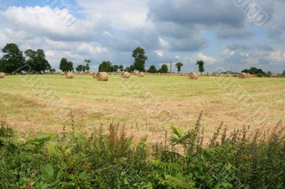 Round bales