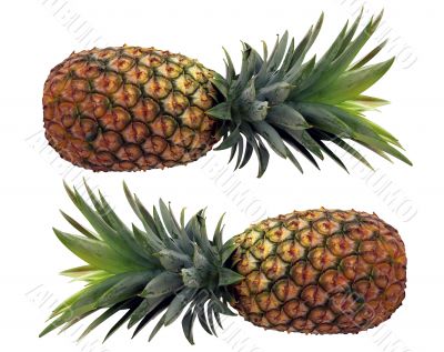 Pineapples