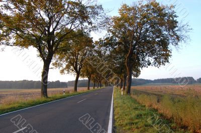 Autumn Country Road