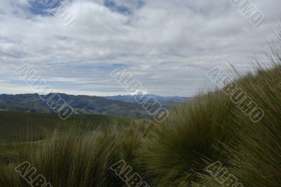 view from volcano cayambe on volcano antisana