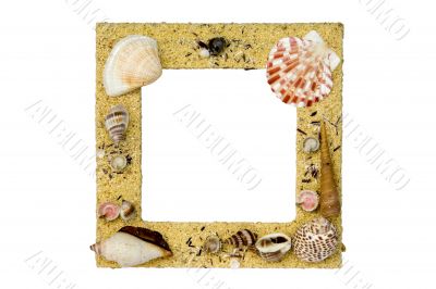 Sea Shell Picture Frame