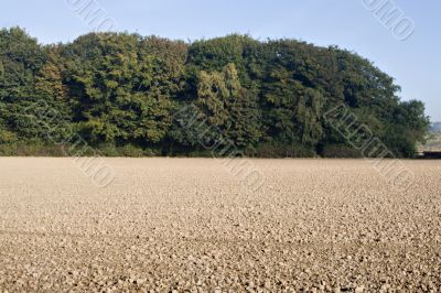 Ploughed field