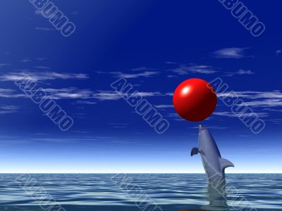 merry dolphin