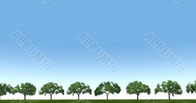 trees in the field trees in the field