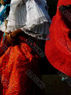 Traditional Folk Dancer