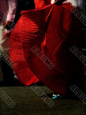 Traditional Folk Dancer