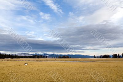 yellowstone