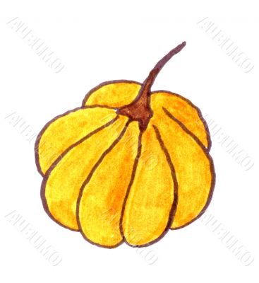 Pumpkin
