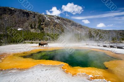 yellowstone