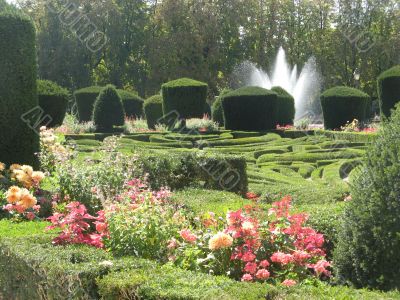 french garden of Le N