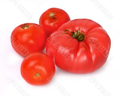 group of tomatos