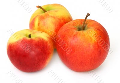 three red apples