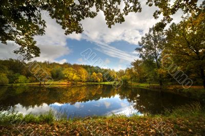 Golden autumn