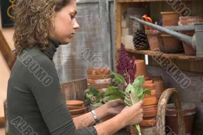 Working in the greenhouse