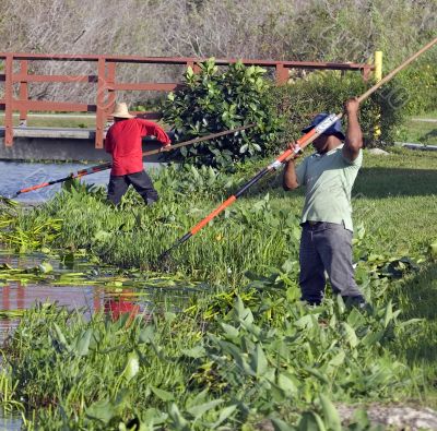 Cleaning Lake Cleaning Lake