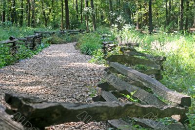 Trail and Split Rail Fence