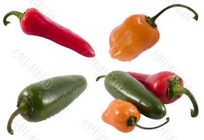 hot pepper series