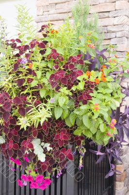 Planter Box