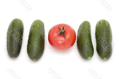 four cucumber