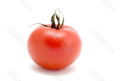 One Tomato