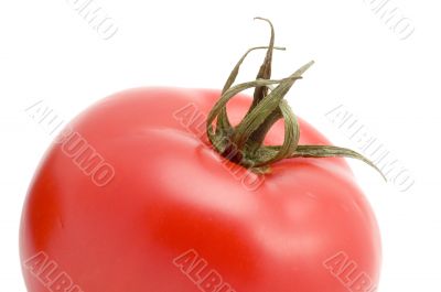 Tomato macro close up