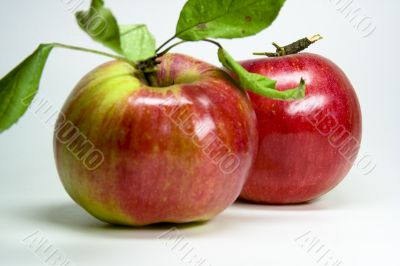 red apple