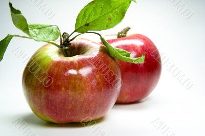 red apple