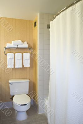 Toilet, towel rack and shower