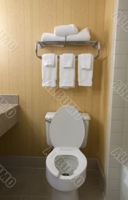 toilet and towel rack