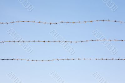 Barbed wire