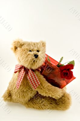 Teddy Bear Holding Container of Roses