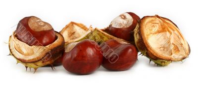 chestnuts on white