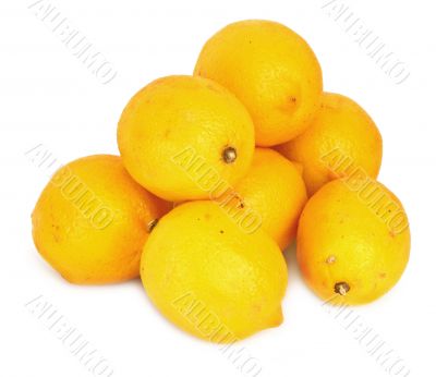 pile of delicious ripe lemons