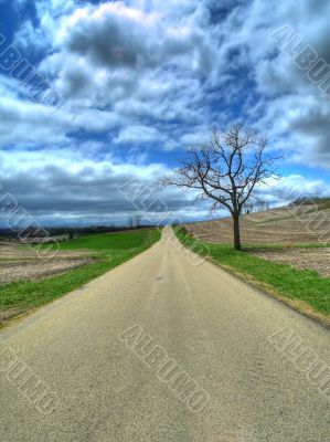 Fall Rural Road Fall Rural Road