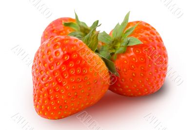 Three ripe strawberries isolated
