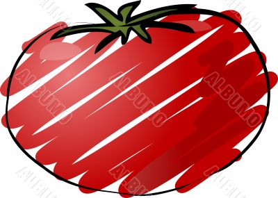 Tomato sketch