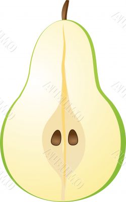 Pear illustration
