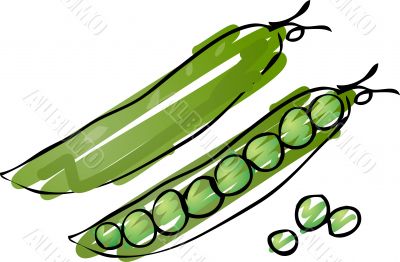 Peas sketch