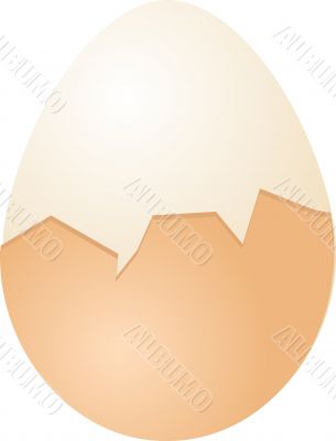 Eggs illustration