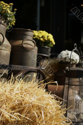 Farmlife. Farmlife.