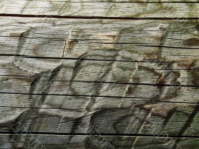 wood background