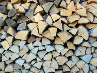 Wood Pile