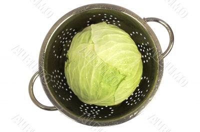 Fresh cabbage in a colander on white.