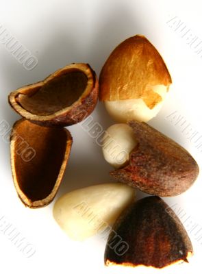 Cone isolated in white background