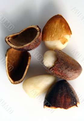 Cone isolated in white background