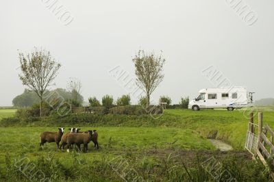 travelling in nature