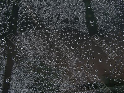 Waterdrops background