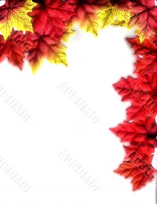 Autumn Leaves Design