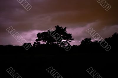 Lightning at the Naarder heath