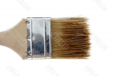 Brush Brush